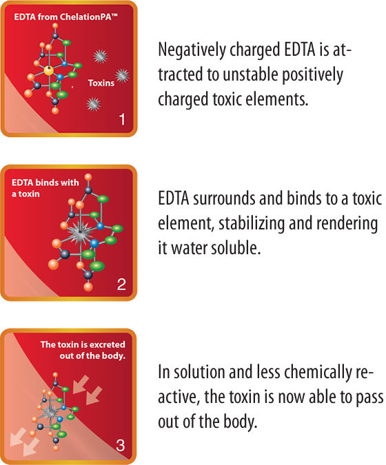 The Chelation Process